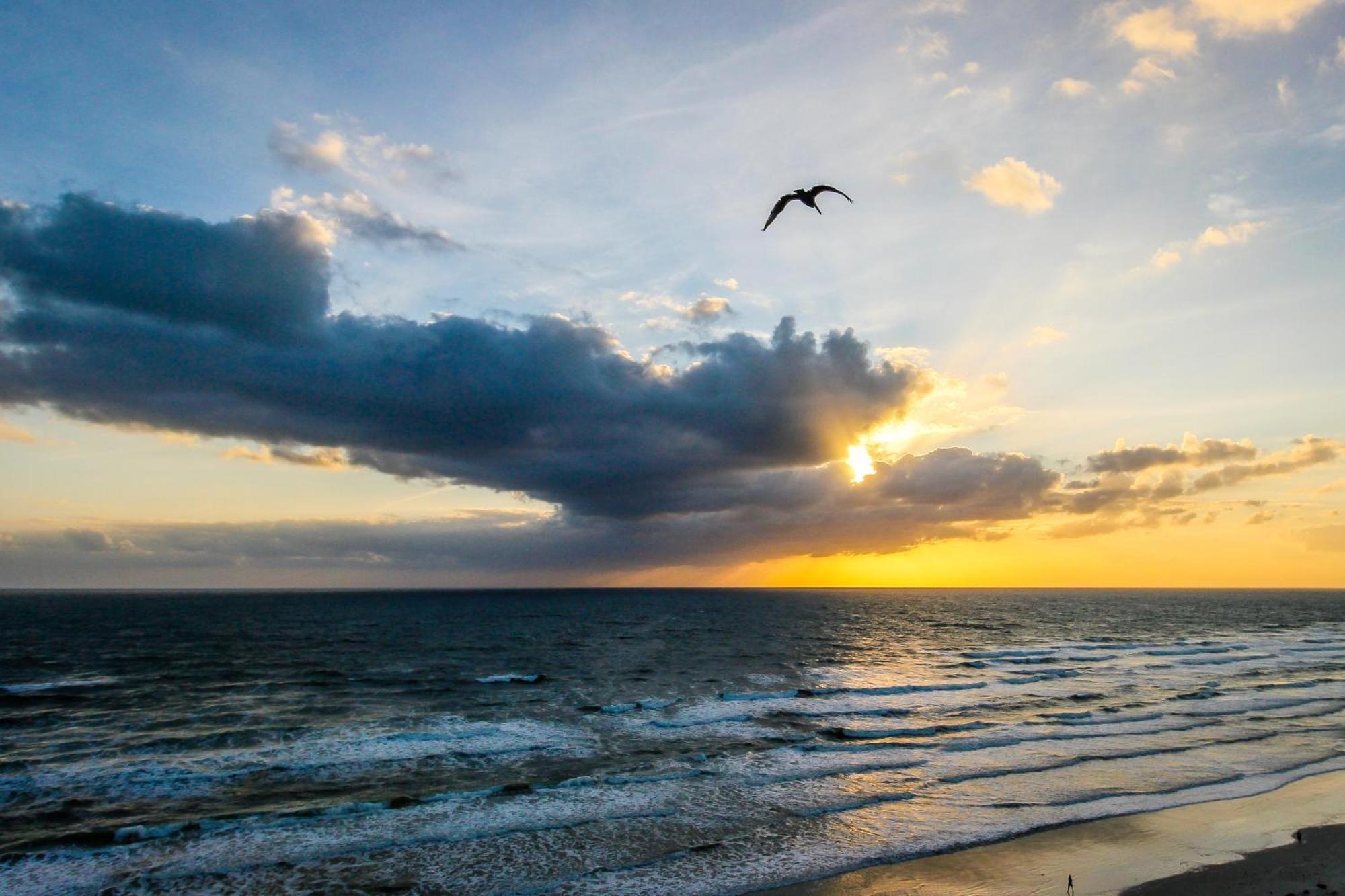 Harbour Beach Resort Daytona Beach Zimmer foto